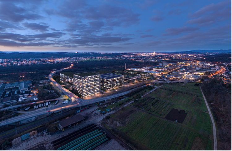 Article: Escaping the 85% Failure Trap: 